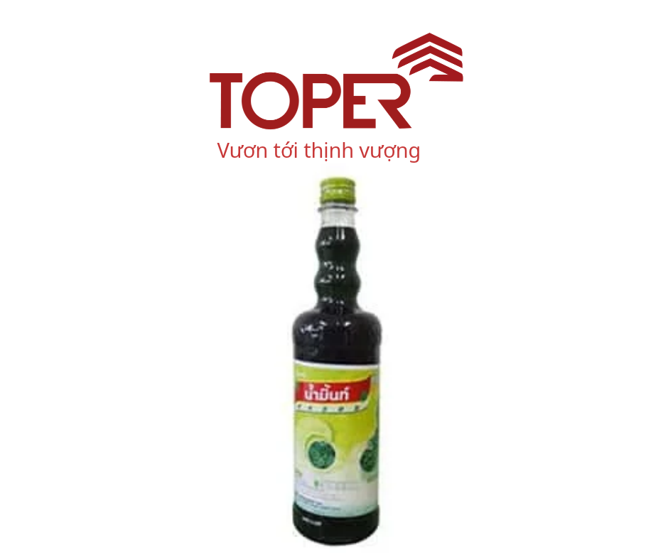 Siro DingFong bạc hà