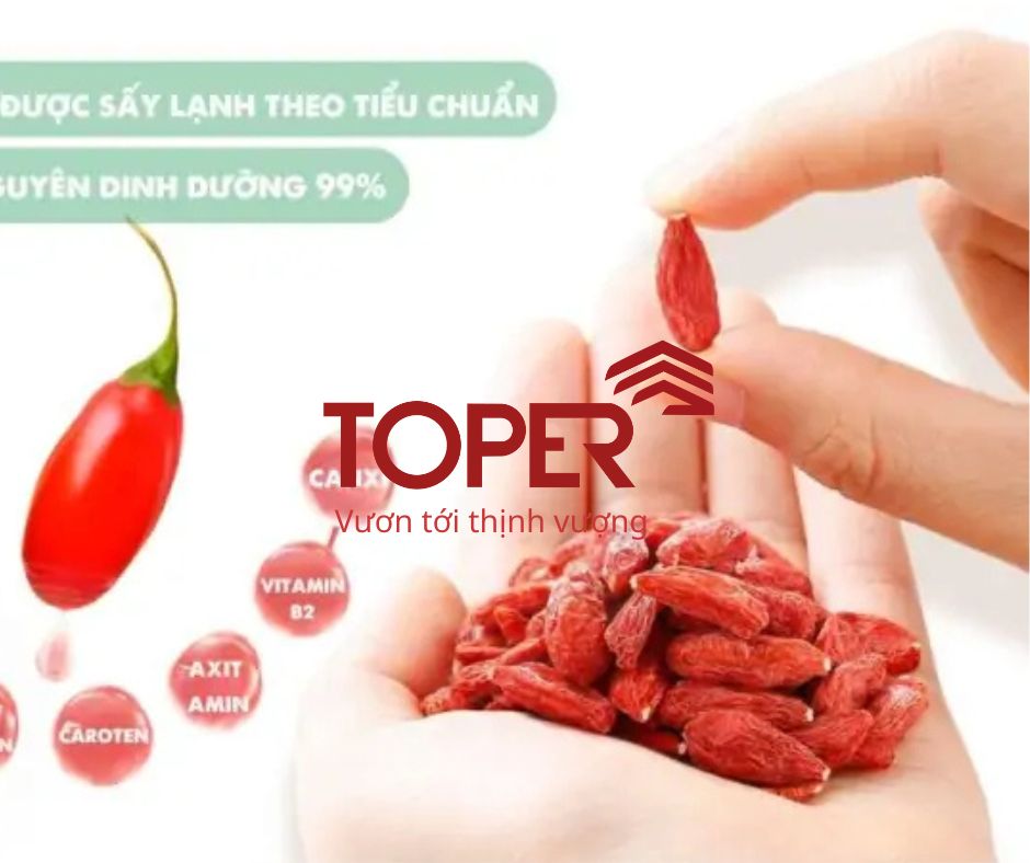Kỷ tử