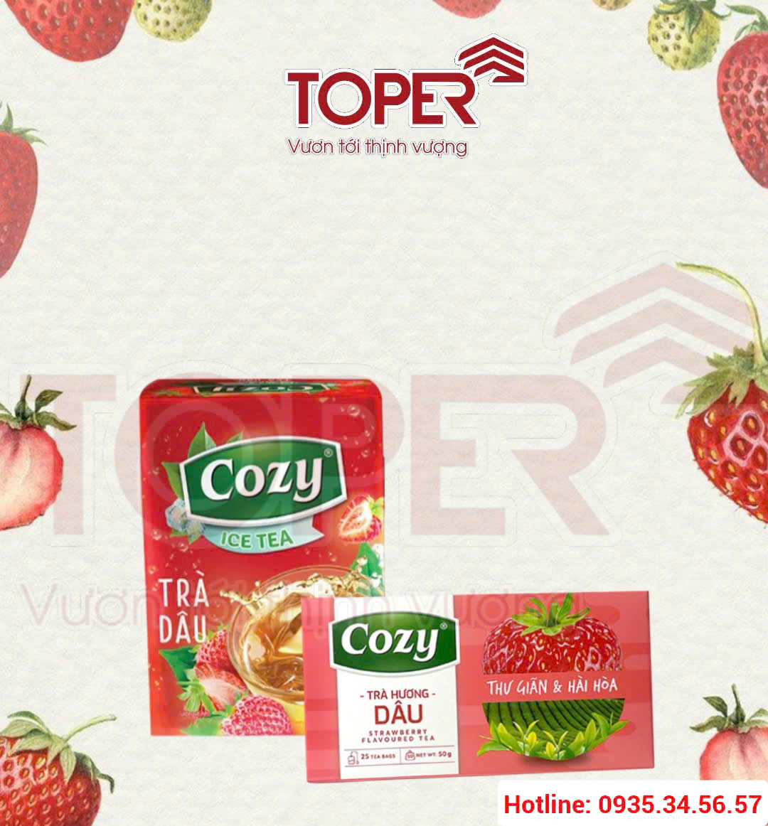 Trà Cozy hương dâu túi lọc