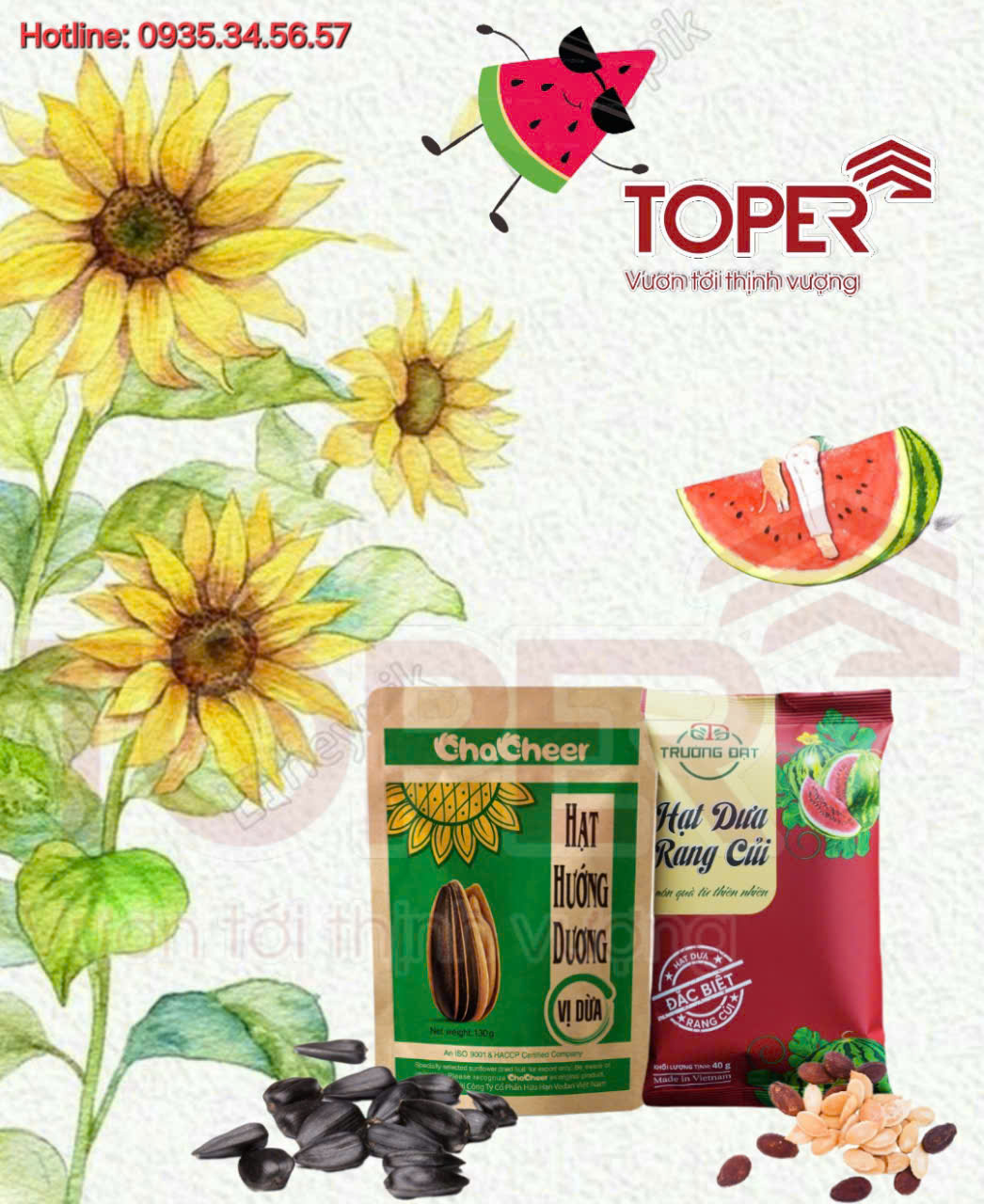 Hạt hướng dương vị dừa Chacheer